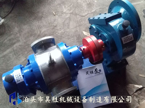  LC不銹鋼羅茨泵